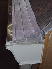 Another Gutter with Ox Mesh Leaf Protection